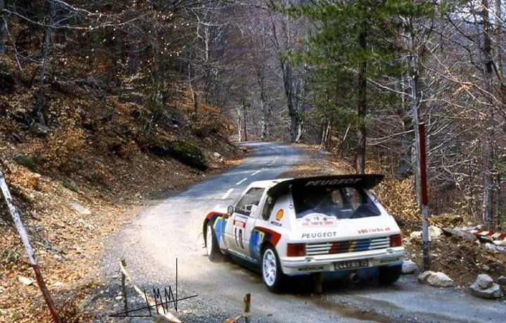 Michele Mouton Peugeot 205T16 in 1986