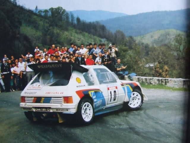 Michele Mouton Peugeot 205T16 in 1986